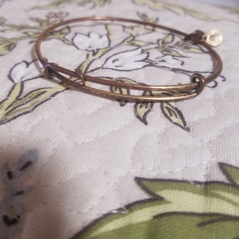 Alex and Ani Layering Plain Gold Bracelet Bangle